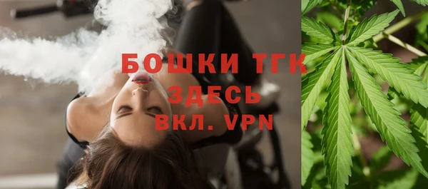 гидра Арсеньев