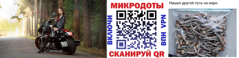 omg   Судак  Галлюциногенные грибы Psilocybine cubensis  цены  